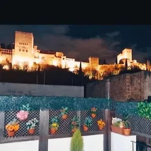 Patrimonio Arabe Vista A La Alhambra Granada